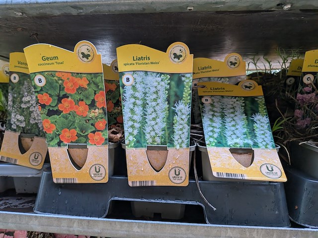 2x deense kar met diverse planten in pot - afbeelding 42 van  62