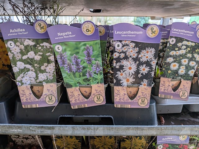 2x deense kar met diverse planten in pot - afbeelding 46 van  62