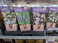 2x deense kar met diverse planten in pot - afbeelding 46 van  62