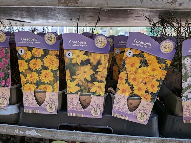 2x deense kar met diverse planten in pot - afbeelding 47 van  62