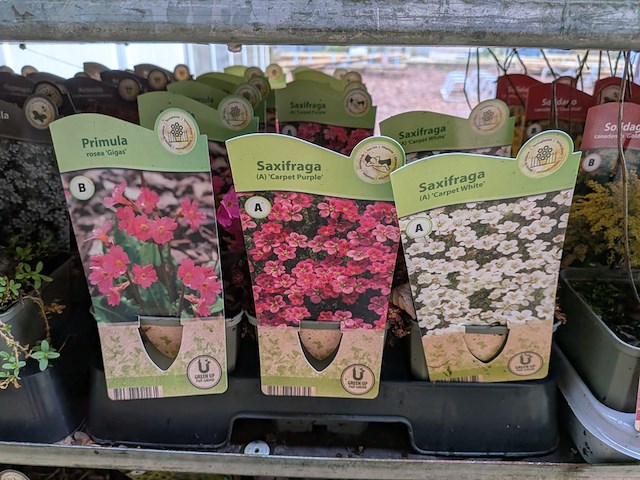 2x deense kar met diverse planten in pot - afbeelding 50 van  62