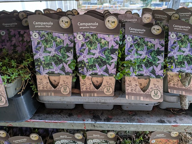 2x deense kar met diverse planten in pot - afbeelding 52 van  62