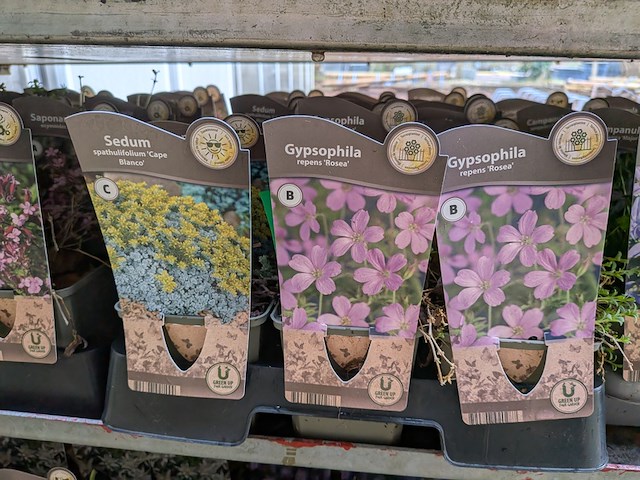 2x deense kar met diverse planten in pot - afbeelding 53 van  62