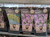 2x deense kar met diverse planten in pot - afbeelding 53 van  62