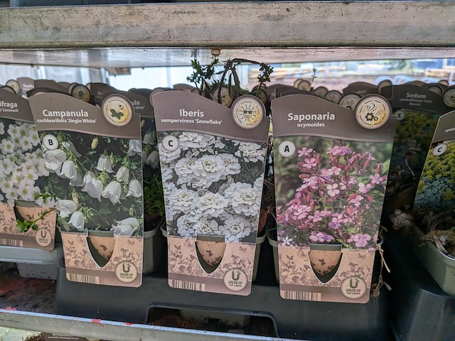 2x deense kar met diverse planten in pot - afbeelding 54 van  62