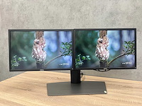 2x dell p2217 - 22" pc set - hdmi, dp, vga, usb - afbeelding 1 van  11