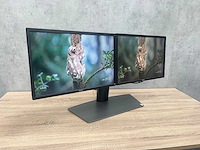 2x dell p2217 - 22" pc set - hdmi, dp, vga, usb - afbeelding 11 van  11