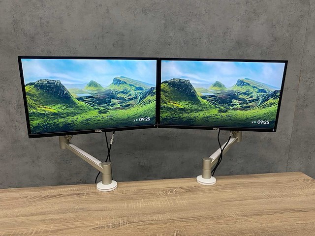 2x dell p2417 - 24" monitor met ergonomische dataflex arm - afbeelding 13 van  14