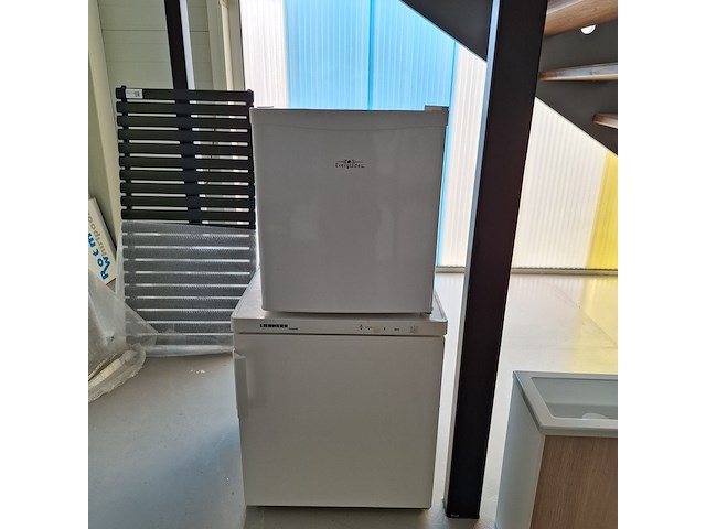 2x diepvrieskastje everglades + liebherr - afbeelding 1 van  9