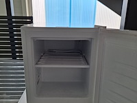 2x diepvrieskastje everglades + liebherr - afbeelding 3 van  9