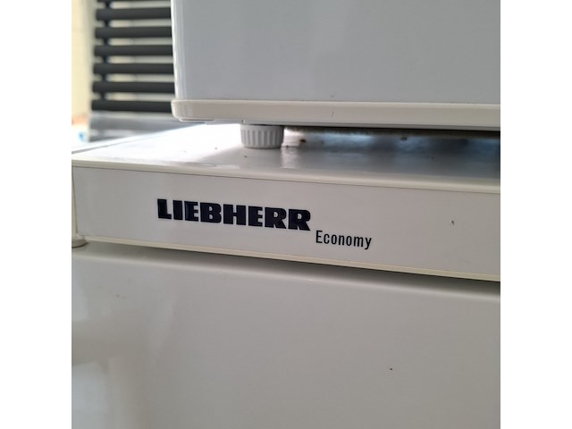 2x diepvrieskastje everglades + liebherr - afbeelding 6 van  9