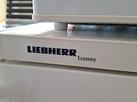 2x diepvrieskastje everglades + liebherr - afbeelding 6 van  9