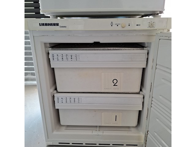 2x diepvrieskastje everglades + liebherr - afbeelding 8 van  9