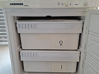 2x diepvrieskastje everglades + liebherr - afbeelding 8 van  9