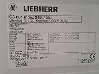 2x diepvrieskastje everglades + liebherr - afbeelding 9 van  9