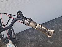2x e-bike, stella, wit - afbeelding 20 van  28