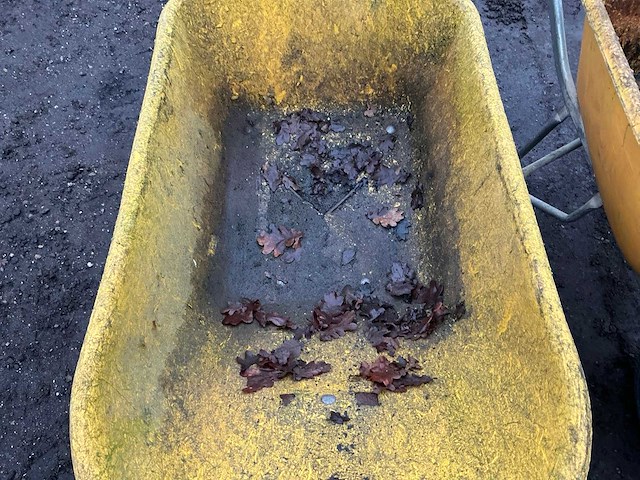 2x fort bak kruiwagen - afbeelding 4 van  13