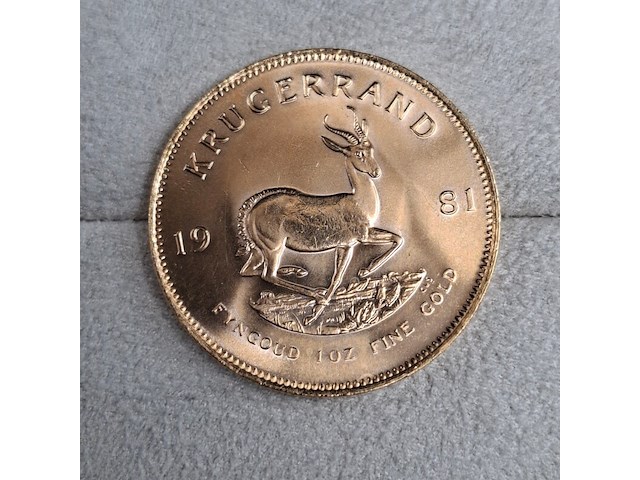 2x gouden munt, south africa, krugerrand, 1981 - afbeelding 2 van  5