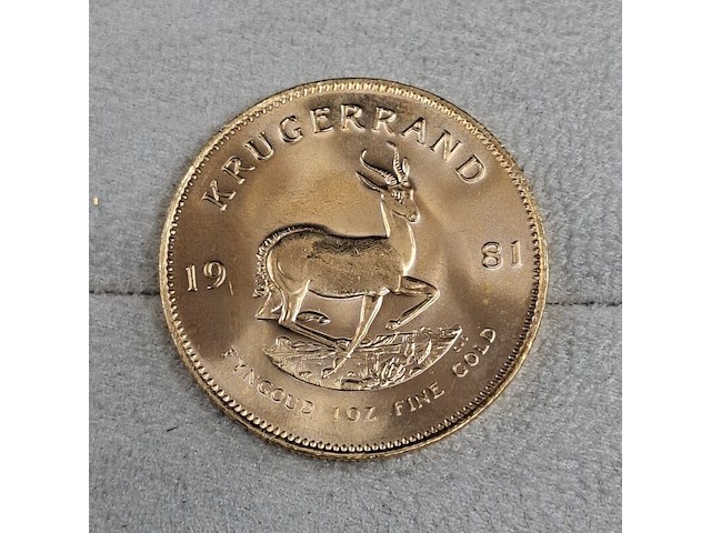 2x gouden munt, south africa, krugerrand, 1981 - afbeelding 2 van  5