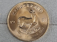 2x gouden munt, south africa, krugerrand, 1981 - afbeelding 2 van  5
