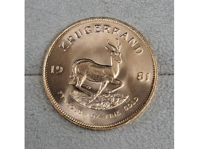 2x gouden munt, south africa, krugerrand, 1981 - afbeelding 5 van  5