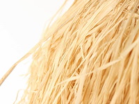 2x hanglamp grass anne light, 3819be, beige, naturel, bouwjaar 2025, nieuw in doos - afbeelding 7 van  8