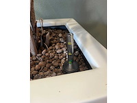 2x hydrocultuurplant in kunststof pot - afbeelding 2 van  6