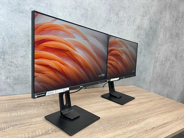 2x iiyama g-master - 24" monitor op voet - hdmi, dp - afbeelding 6 van  12
