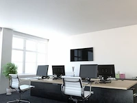 2x infrarood paneel, ecosun, type gs | glas, 80x120 cm, zwart, 2025 - afbeelding 4 van  5