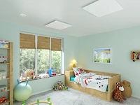 2x infrarood paneel glas 60 x 60 cm, ecosun, type gs, wit, 2025