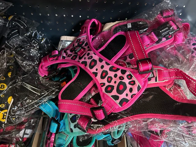 2x inhoud stellingvak w.o. accessoires voor honden w.o. sharon - afbeelding 2 van  6