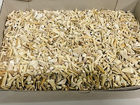 2x kilo haaientanden ongesorteerd - afbeelding 3 van  5