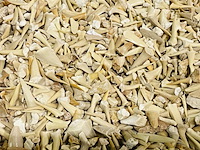 2x kilo haaientanden ongesorteerd - afbeelding 4 van  5