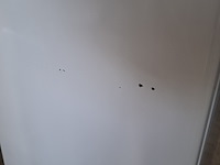 2x koelkast, everglades, evtd310, wit - afbeelding 6 van  14