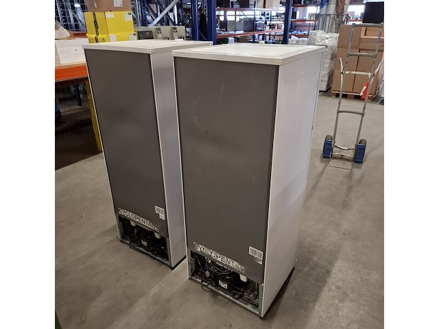 2x koelkast met vriesvak, everglades, evtd310, wit - afbeelding 7 van  13