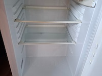 2x koelkast, tafelmodel aeg en zanussi, santo en zt175rm - afbeelding 6 van  7