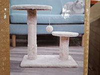 2x krabpaal kat / kitten, 2025 - afbeelding 1 van  2