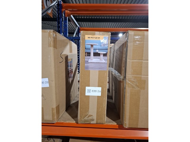 2x krabpaal kat / kitten, 2025 - afbeelding 2 van  2