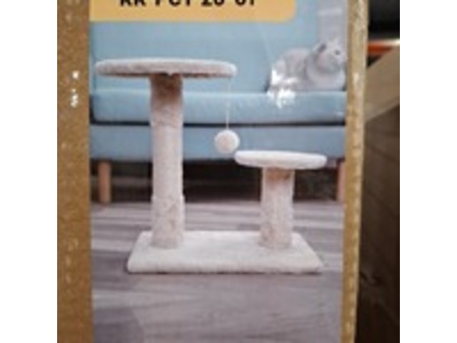 2x krabpaal kat / kitten, 2025 - afbeelding 1 van  2