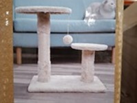 2x krabpaal kat / kitten, 2025 - afbeelding 1 van  2