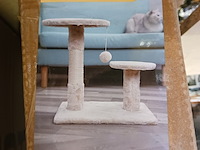 2x krabpaal kat / kitten / poes sanderz, 2025 - afbeelding 2 van  3