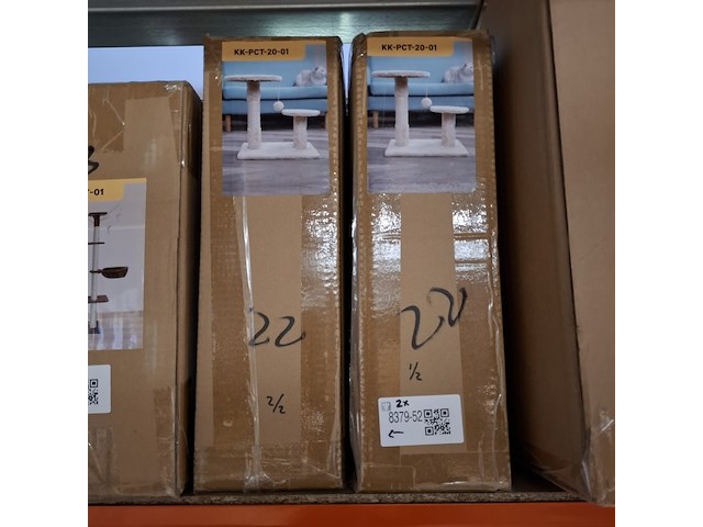 2x krabpaal kitten kat poes, 2025 - afbeelding 3 van  3