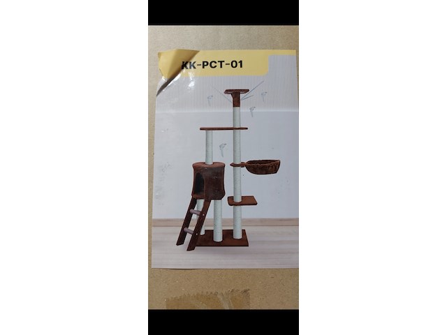 2x krabpaal kitten kat poes, 2025 - afbeelding 1 van  3