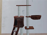 2x krabpaal kitten kat poes, 2025 - afbeelding 1 van  3