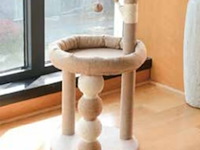 2x krabpaal kitten kat poes, 2025 - afbeelding 1 van  3