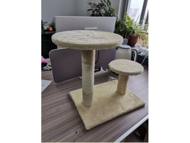 2x krabpaal kitten / kat / poes, 2025 - afbeelding 1 van  3