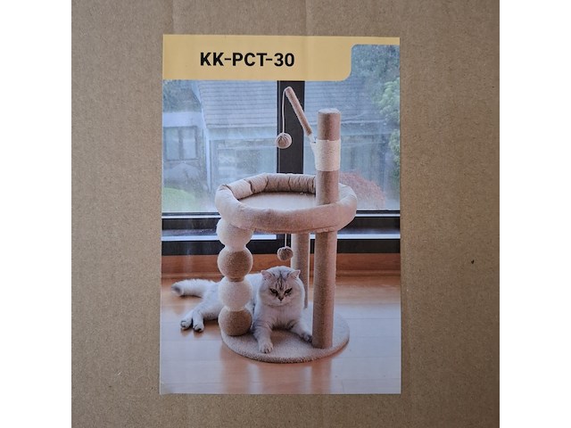 2x krabpaal kitten / kat / poes, 2025 - afbeelding 2 van  3