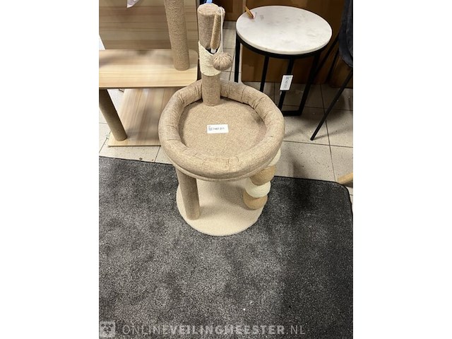 2x krabpaal kitten / kat / poes, 2025 - afbeelding 1 van  3