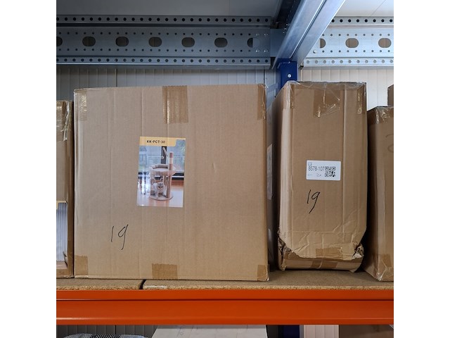 2x krabpaal kitten / kat / poes, 2025 - afbeelding 3 van  3