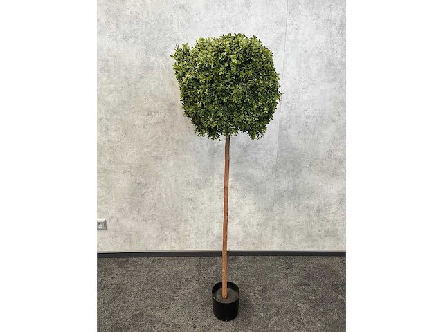 2x kunst buxus boom h150 - ongebruikt - afbeelding 5 van  11